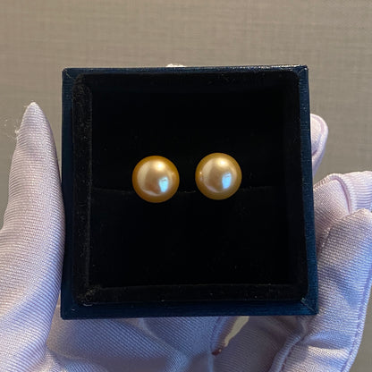 K18YG ゴールデンパール 南洋真珠 18K 18金 YG K18 イエローゴールド ゴールドパール ピアス スタッドピアス 10-11mm ~
